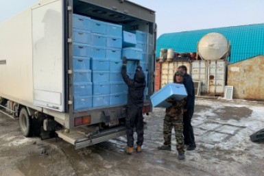 Итоги дня: машина в яме, звезда TikTok, новый рекорд, циклон и пункты вакцинации