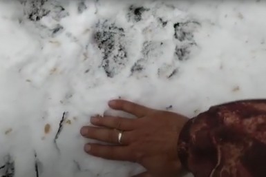 Итоги дня: жесткое ДТП, циклон, кредит на покойника, победа  ХК "Амур"