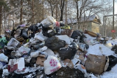 Итоги дня: без QR-кода теперь нельзя, краб на 30 млн, мусорные кучи, протечки устранены