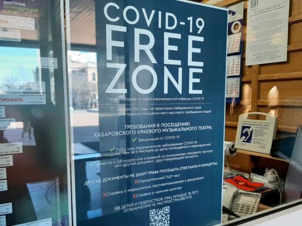 Без кода входа нет. Или есть? Как устроена система проверки QR-кодов в Хабаровске