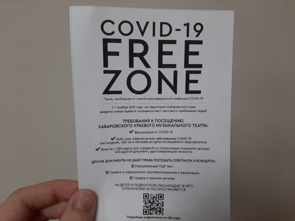 Без кода входа нет. Или есть? Как устроена система проверки QR-кодов в Хабаровске