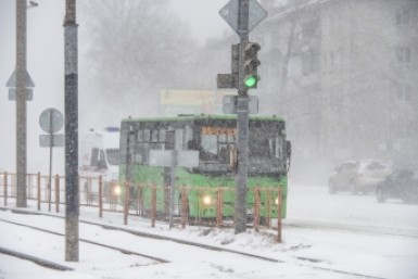 Итоги дня: снежный буран, замерзшие насмерть голуби, закрытие федеральных трасс