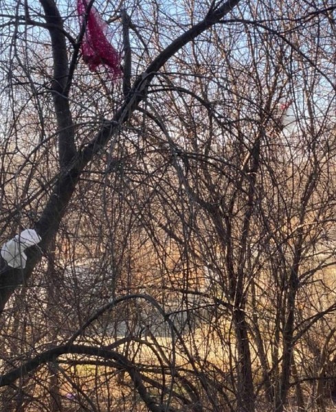 Помойку под окнами своего дома в квартале ДОС устроили хабаровчане