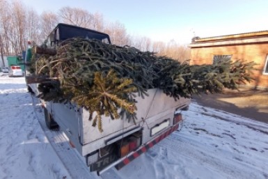 Итоги дня: новогоднее варварство, новый командующий, QR-курьеры и ежовые рукавицы локдауна