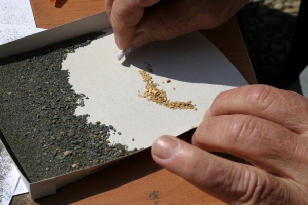 Доходы бюджета Хабаровского края от горнодобывающей отрасли превысили 8,9 млрд рублей Доходы бюджета Хабаровского края от горнодобывающей отрасли превысили 8,9 млрд рублей