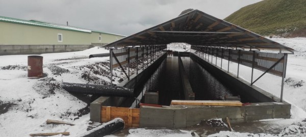 Рыбопромышленный комплекс начал работать на юге Сахалина