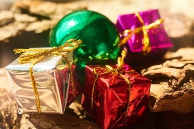 Итоги дня: тигр в селе, правильная елка, худшие подарки на корпорат и звание для тренера