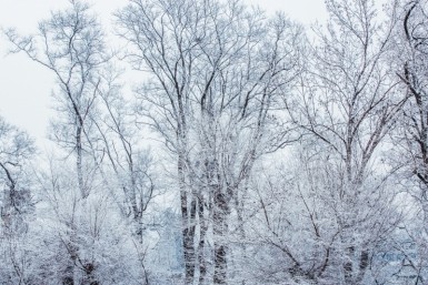 Итоги дня: рукоприкладство в школе, аномальный холод, поножовщина в такси Итоги дня: рукоприкладство в школе, аномальный холод, поножовщина в такси