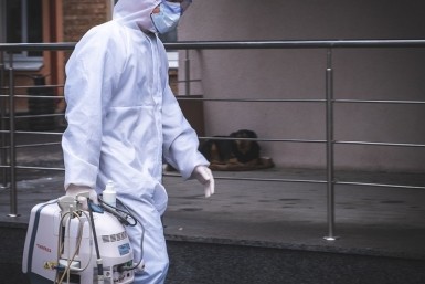 Итоги дня: почти локдаун, эвакуация поликлиники, суд отказал, спасение косули на лимузине