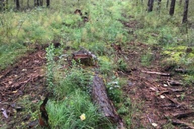 Итоги дня: рукоприкладство в школе, аномальный холод, поножовщина в такси Итоги дня: рукоприкладство в школе, аномальный холод, поножовщина в такси