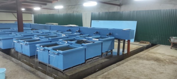 Рыбопромышленный комплекс начал работать на юге Сахалина