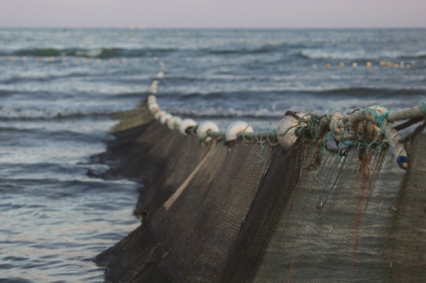АСРФ: Цели отраслевых налоговых льгот вызывают вопросы