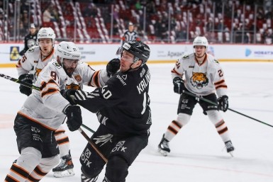 Итоги дня: антикварную картину за дом для старушки, в школе умер подросток, проверка шахт