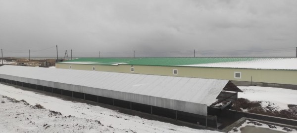 Рыбопромышленный комплекс начал работать на юге Сахалина