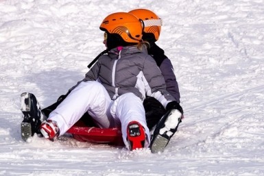 Итоги дня: "студенческий десант", пловцы-молодцы, елка для зоосада и отчет по уборке снега