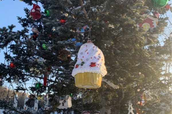 Итоги дня: полосатая потеря, победа "Амура", автоподставы, дачные будни и хватит есть