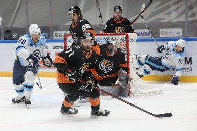 Итоги дня: злые псы, массовое ДТП, авария на "Водоканале" и Новый год без газа