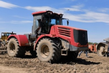 Итоги дня: "студенческий десант", пловцы-молодцы, елка для зоосада и отчет по уборке снега