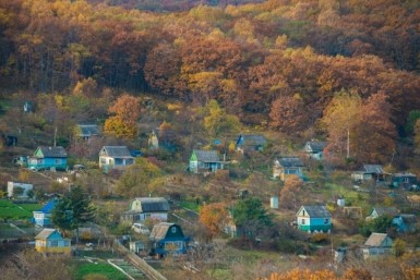 Итоги дня: полосатая потеря, победа "Амура", автоподставы, дачные будни и хватит есть