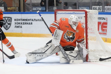 Итоги дня: пятеро скончались, наши в сборной Чехии, отроют купель и сняли тигра