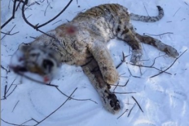 Итоги дня: вернули должок, шестая победа, выгодные авто, благодарность дворнику и 112