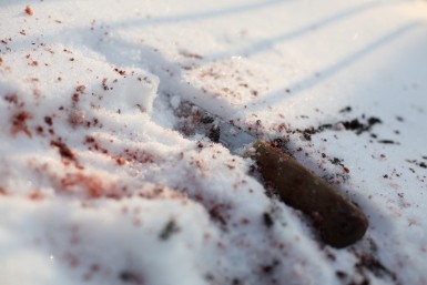 Итоги дня: умер телеведущий, загорелся автобус, банда тренера по боксу, переходы по-новому