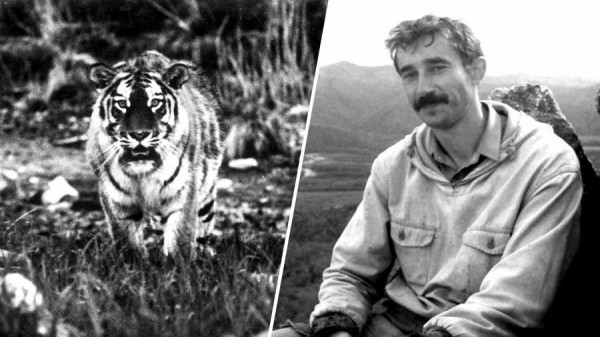 &laquo;Для нас это было большим удивлением&raquo;: директор сафари-парка &mdash; о судьбе тигра Амура и козла Тимура шесть лет спустя