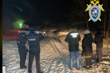 Итоги дня: "студенческий десант", пловцы-молодцы, елка для зоосада и отчет по уборке снега