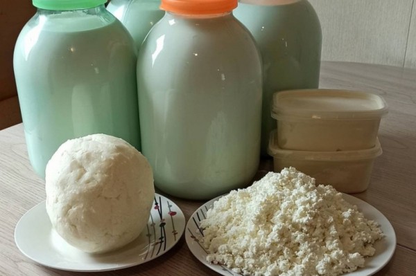 Производство козьего сыра расширяется в Вяземском районе Хабаровского края