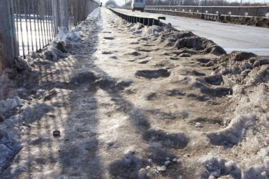 Итоги дня: шишкарь-кедролаз, изменения для водителей, заморозили цены на продукты