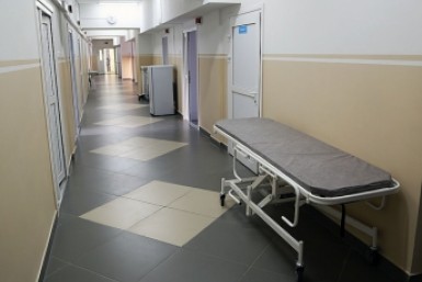 Итоги дня: шишкарь-кедролаз, изменения для водителей, заморозили цены на продукты