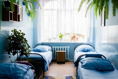 Итоги дня: шишкарь-кедролаз, изменения для водителей, заморозили цены на продукты