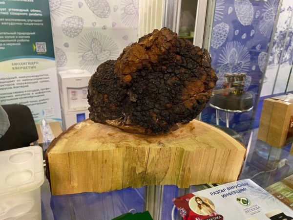 Регионы представили продовольственную продукцию на международной выставке Продэкспо-2022