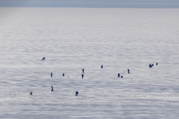 Льдину с рыбаками и автомобилями оторвало от берега в Хабаровском крае Льдину с рыбаками и автомобилями оторвало от берега в Хабаровском крае
