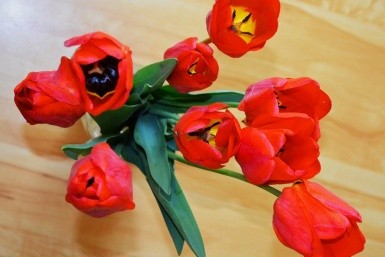 Неделя с AmurMedia: врачи уезжают, 8 Марта и чего ждать от рынка недвижимости в Хабаровске