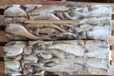 Торговля хочет ограничивать продажи в одни руки социально значимых продуктов