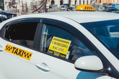 Итоги дня: приостановка бизнеса с Японией, правила для бездомных собак и жаркое лето