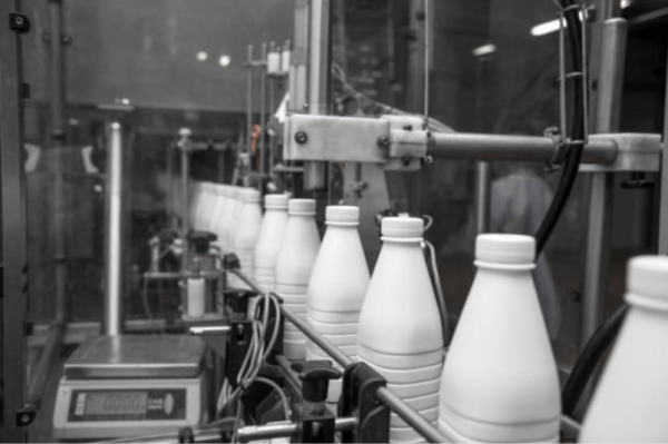 Новое молочное производство начнут создавать в Хабаровском крае в этом году
