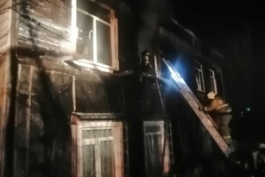 Итоги дня: приостановка бизнеса с Японией, правила для бездомных собак и жаркое лето