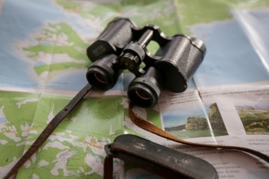 Итоги дня: вторая смена "Общака", подорожавшие авто, приют для собак, наши на ТНТ