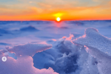 Итоги дня: чиновники бойкотируют соцсеть, запасы сахара в Хабаровском крае, поддержка ДФО