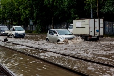 Итоги дня: приостановка бизнеса с Японией, правила для бездомных собак и жаркое лето