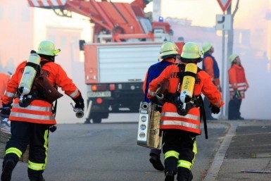 Итоги дня: приостановка бизнеса с Японией, правила для бездомных собак и жаркое лето