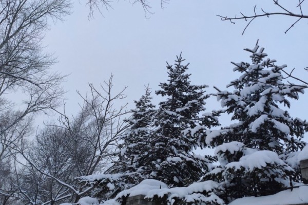 Снег и метель снова атакуют территорию Хабаровского края