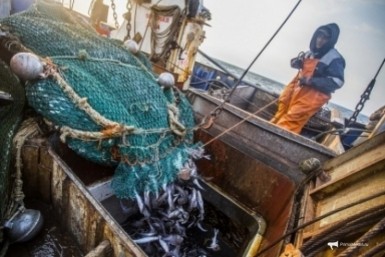 Олигархат или многоукладная экономика? Рыбная отрасль перед историческим выбором