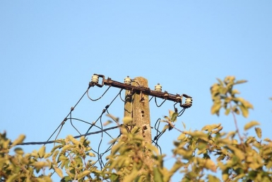 Итоги дня: horror story о бараках, поезд беженцев, блэкаут в Авиагородке и топ кровососов