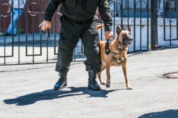 Школы Хабаровска вновь эвакуируют