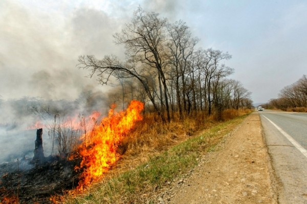 Особый противопожарный режим из-за палов ввели ещё в одном районе Хабаровского края