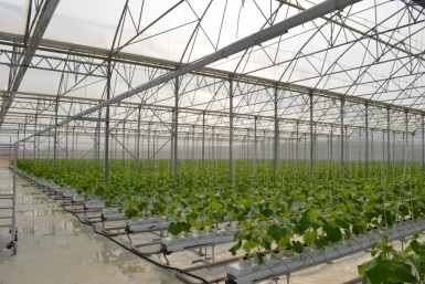 Итоги дня: многострадальный Утёс, невыгодный маршрут, завуч уволен, танцоры отличились