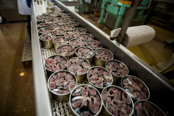 Статус уловов и рыбопродукции рыбаков стран ЕАЭС урегулируют в Таможенном кодексе Союза